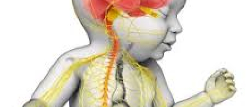 Nevrologiya, nevroloji simptomlar, nevroloji müayinə, nevroloji müalicə, nevroloji xəstəliklər