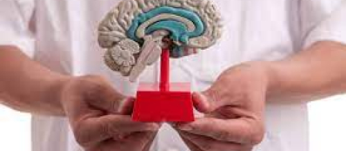 Nevrologiya, nevrologiyada müalicə üsulları, nevroloji müayinə, nevroloji xəstəliklər