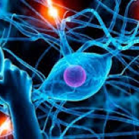 Nevrologiya, nevroloji xəstəliklərin əlamətləri, nevroloji müalicə üsulları, nevroloji mayinə