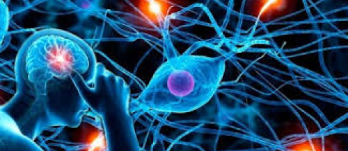 Nevrologiya, nevroloji xəstəliklərin əlamətləri, nevroloji müalicə üsulları, nevroloji mayinə