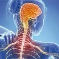 Nevrologiya, nevroloji xəstəliklərin əlamətləri, nevroloji müalicə üsulları, nevroloji mayinə