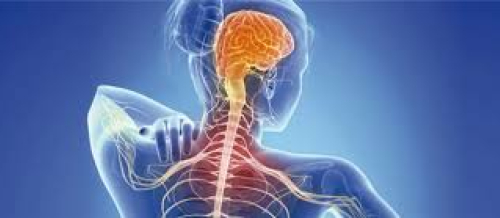 Nevrologiya, nevroloji xəstəliklərin əlamətləri, nevroloji müalicə üsulları, nevroloji mayinə