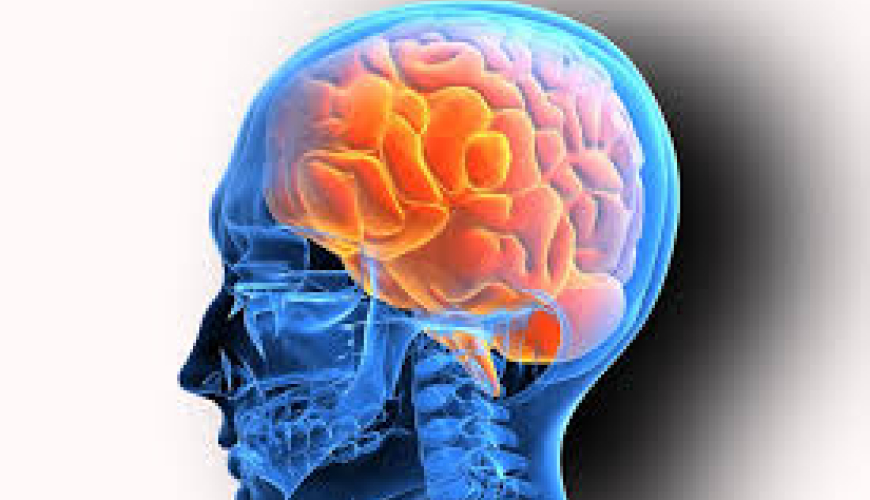 Nevrologiya, nevrologiyada müalicə üsulları, nevroloji müayinə, nevroloji xəstəliklər, nevroloq