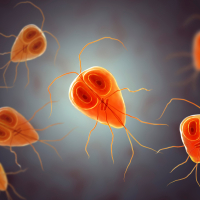 Ləmblioz, bağırsaq infeksiyası, Ləmblialar​​​​​​​ın səbəbləri, Ləmblialar​​​​​​​ın müalicəsi, infeksiya