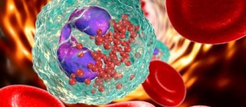 Qurd xəstəliklərinin orqanizmdə yaratdığı fəsadlar, İnsan orqanizmi qurda necə yoluxur, Yoluxucu xəstəliklər