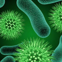 Parazitlərə yoluxmaq, parazitlərdən qorunmaq, parazitlərin əlamətləri, Dərinin parazit xəstəlikləri