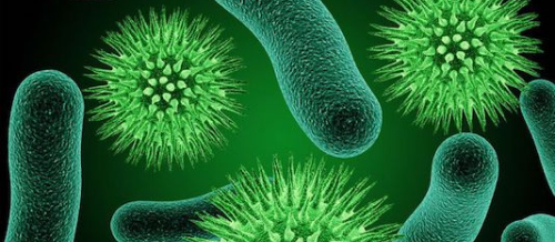 Parazitlərə yoluxmaq, parazitlərdən qorunmaq, parazitlərin əlamətləri, Dərinin parazit xəstəlikləri