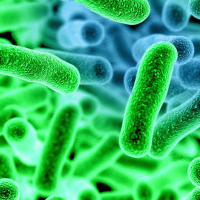 Parazitlərə yoluxmaq, parazitlərdən qorunmaq, parazitlərin əlamətləri, Dərinin parazit xəstəlikləri