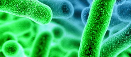 Parazitlərə yoluxmaq, parazitlərdən qorunmaq, parazitlərin əlamətləri, Dərinin parazit xəstəlikləri