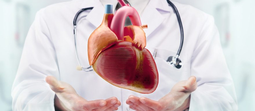 Kardioloji, EKQ, Stress Test, Transtorakal Ekokardiyografiya, Stress Exokardioqrafiya, Kardiologiya Şöbəsi