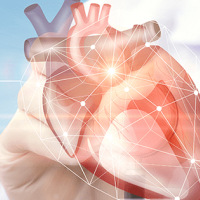 Kardiologiya, Ürək-damar cərrahiyyəsi, Ürəyin işəmik xəstəliyi, Aorto, Qazanılmış ürək qüsurları, Ürək qapağı xəstəliyi Kardiologiya, Ürək-damar cərrahiyyəsi, Ürəyin işəmik xəstəliyi, Aorto, Qazanılmış ürək qüsurları, Ürək qapağı xəstəliyi