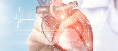 Kardiologiya, Ürək-damar cərrahiyyəsi, Ürəyin işəmik xəstəliyi, Aorto, Qazanılmış ürək qüsurları, Ürək qapağı xəstəliyi