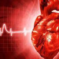 Kardiologiya, Ürək-damar cərrahiyyəsi, Ürəyin işəmik xəstəliyi, Aorto, Qazanılmış ürək qüsurları, Ürək qapağı xəstəliyi Kardiologiya, Ürək-damar cərrahiyyəsi, Ürəyin işəmik xəstəliyi, Aorto, Qazanılmış ürək qüsurları, Ürək qapağı xəstəliyi