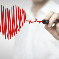 Ürək-damar sistemi xəstəlikləri, Qan damarları və onların təmizlənməsi, Elastiki tipli arteriyalar, Əzələ tipli arteriyalar Ürək-damar sistemi xəstəlikləri, Qan damarları və onların təmizlənməsi, Elastiki tipli arteriyalar, Əzələ tipli arteriyalar