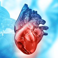 Kardioloji reabilitasiya nədir, Kardioloji xəstəliklərin əlamətləri, Koroner ürək xəstəlikləri, EKQ testi Kardioloji reabilitasiya nədir, Kardioloji xəstəliklərin əlamətləri, Koroner ürək xəstəlikləri, EKQ testi