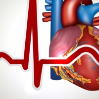 Kardiologiya, İnfarkt simptomu, Ürək-damar xəstəlikləri, Kardioloji bərpa, Kardioloji reabilitasiya proqramı Kardiologiya, İnfarkt simptomu, Ürək-damar xəstəlikləri, Kardioloji bərpa, Kardioloji reabilitasiya proqramı