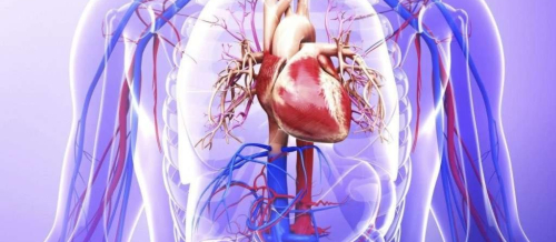 Kardioloji xəstəliklər, Anadangəlmə ürək qüsurları, ürək xəstəliklərinin müalicəsi və diaqnostikası, Kardiologiya, həkim-kardioloq