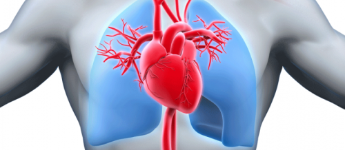 Kardiologiya, Elektrokardioqrafiya, EKQ, Exokardioqrafiya, Ürək-damar sistemi xəstəlikləri, Təngnəfəslik