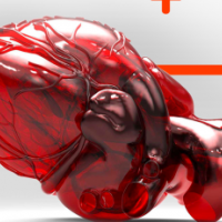 Kardioloji, EKQ, Stress Test, Transtorakal Ekokardiyografiya, Stress Exokardioqrafiya, Kardiologiya Şöbəsi Kardioloji, EKQ, Stress Test, Transtorakal Ekokardiyografiya, Stress Exokardioqrafiya, Kardiologiya Şöbəsi