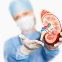 Uroloq, Uroloq qəbulu, Uroloqun androloqdan fərqi nədir, Urologiya, Müasir urologiya