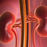 Böyrək ağrısı nədir, Böyrək ağrısı əlamətləri, Urologiya, Uroloji problemlər