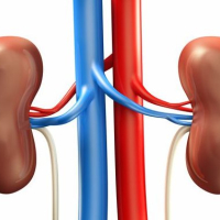 Uroloq, Uroloq qəbulu, Uroloqun androloqdan fərqi nədir, Urologiya, Müasir urologiya