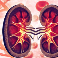 Laparoskopik urologiya, Qadın urologiyası, Uroloji xəstəliklərin müayinəsi, Uroloji simptomlar