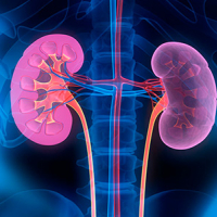 Böyrək daşı sancısı, Böyrək daşı sancısı necə baş verir, Böyrək sancısı, Ultrasəs müayinəsi